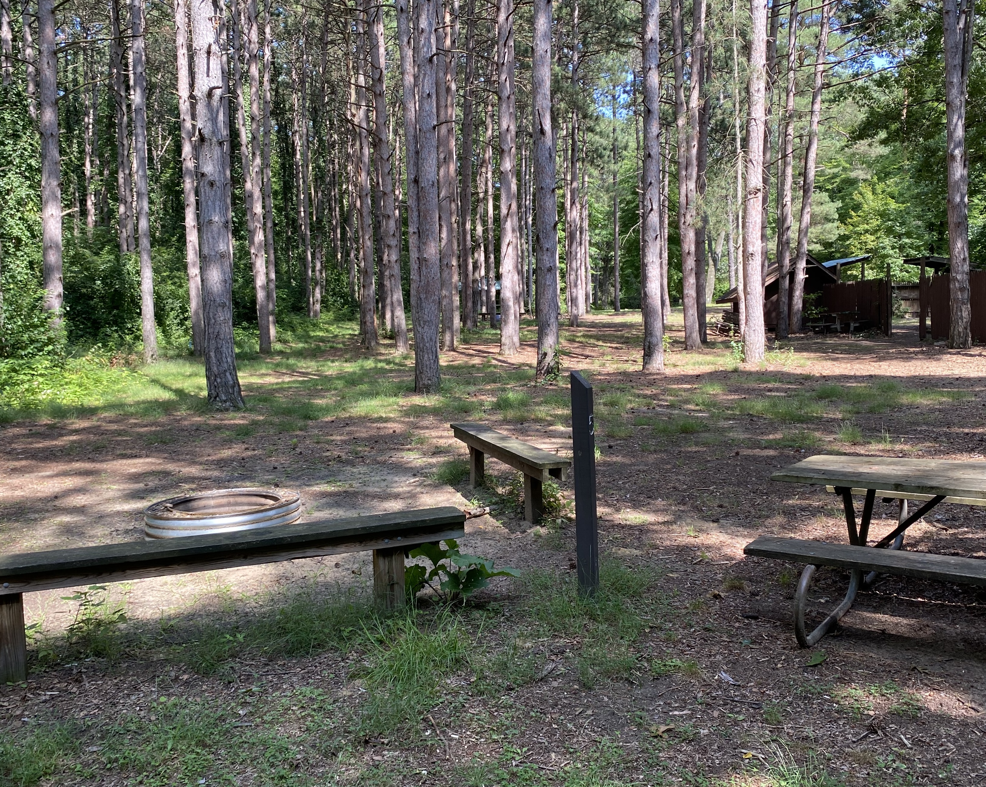 Image for Tent Site 5